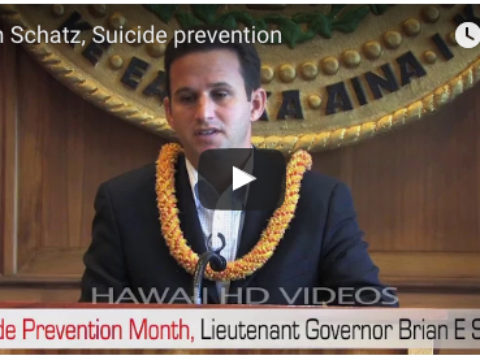 Brian Schatz, Suicide prevention